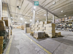 Teren 9.419 mp + hale 7.000 mp – Huși, Vaslui - imagine 4