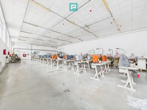 Teren 9.419 mp + hale 7.000 mp – Huși, Vaslui - imagine 8