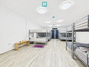 Teren 9.419 mp + hale 7.000 mp – Huși, Vaslui - imagine 13