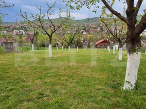 Cabana cu teren generos, 1824 mp, acces din 2 străzi – Livezeni - imagine 6
