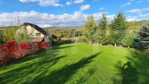 Cabana cu teren generos, 1824 mp, acces din 2 străzi – Livezeni - imagine 5