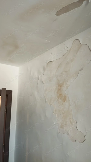 Prestari servicii in constructi