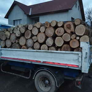 Lemne de foc esență tare  - imagine 2