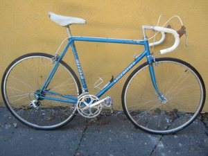 cursiera Koga miyata