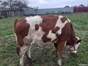 De vânzare  - imagine 3