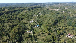 Casă " la  roșu " + 4391 mp teren de vânzare în comuna Valea Danului, sat Borobănești, județ Argeș. - imagine 10