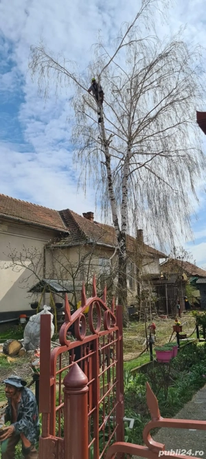 alpinism utilitar construcții  - imagine 5