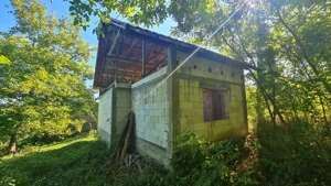 Casă " la  roșu " + 4391 mp teren de vânzare în comuna Valea Danului, sat Borobănești, județ Argeș. - imagine 2