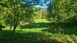 Casă " la  roșu " + 4391 mp teren de vânzare în comuna Valea Danului, sat Borobănești, județ Argeș. - imagine 17