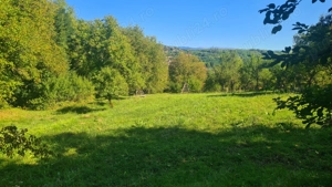 Casă " la  roșu " + 4391 mp teren de vânzare în comuna Valea Danului, sat Borobănești, județ Argeș. - imagine 16