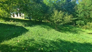 Casă " la  roșu " + 4391 mp teren de vânzare în comuna Valea Danului, sat Borobănești, județ Argeș. - imagine 18