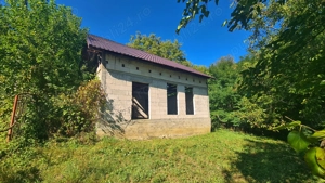 Casă " la  roșu " + 4391 mp teren de vânzare în comuna Valea Danului, sat Borobănești, județ Argeș. - imagine 12