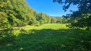 Casă " la  roșu " + 4391 mp teren de vânzare în comuna Valea Danului, sat Borobănești, județ Argeș. - imagine 14