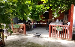 Casă cu gradina 1255mp cu sere, Copaceni , lângă Turda,comision 0   %