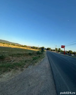 De vânzare teren extravilan în Moldova Nouă [zonă turistică M5] - poziție excelentă! - imagine 3