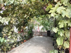 Vanzare Casa / Vila - imagine 3