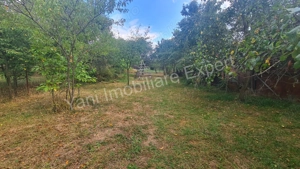 Casă bătrânească + 1462 mp teren de vânzare în Curtea de Argeș. - imagine 14