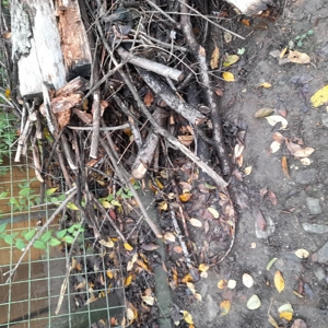 donatie lemne de foc