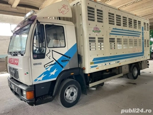 Trasport animali 2 livele