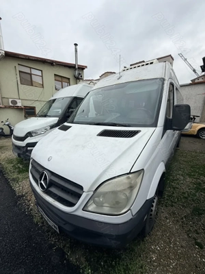 Vand Sprinter Pentru Transport Persoane 20+1 Locuri