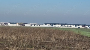 Vanzare Teren Intravilan Magurele 10000mp  - imagine 4