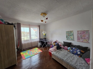 Satu Mare, Zona Titulescu, Oportunitate pentru familie mare sau firme. - imagine 17