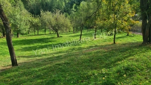 Teren de vânzare în comuna Arefu, sat Arefu, județ Argeș. - imagine 8