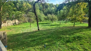 Teren de vânzare în comuna Arefu, sat Arefu, județ Argeș. - imagine 9