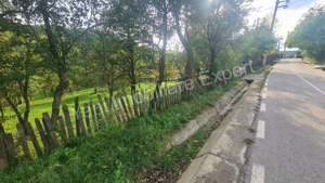 Teren de vânzare în comuna Arefu, sat Arefu, județ Argeș. - imagine 12