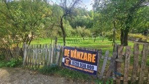 Teren de vânzare în comuna Arefu, sat Arefu, județ Argeș. - imagine 11