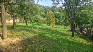 Teren de vânzare în comuna Arefu, sat Arefu, județ Argeș. - imagine 10