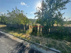 Teren intravilan Barnova Todirel - imagine 7