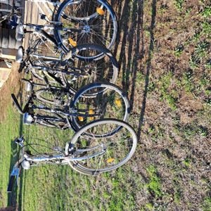 Vând biciclete de dama și de barbati - imagine 4