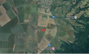 Teren extravilan- Com. Siria, jud. Arad - imagine 5