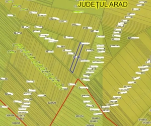 Teren extravilan- Com. Siria, jud. Arad - imagine 4