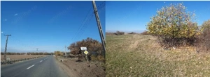 Teren extravilan- Com. Siria, jud. Arad - imagine 3