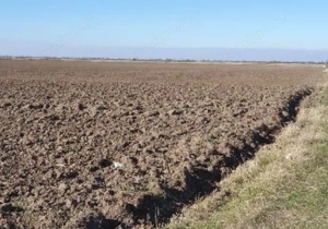 Teren extravilan- Com. Siria, jud. Arad