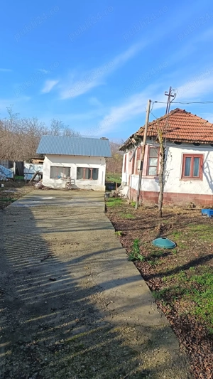 Vind teren intravilan - imagine 4