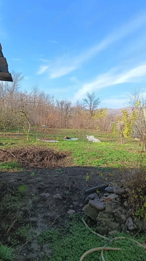 Vind teren intravilan