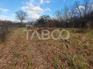 Comision 0 % Teren intravilan 2 cai de acces 3100 mp Savastreni - imagine 3