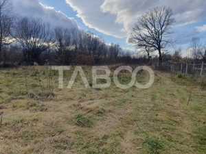 Comision 0 % Teren intravilan 2 cai de acces 3100 mp Savastreni - imagine 2