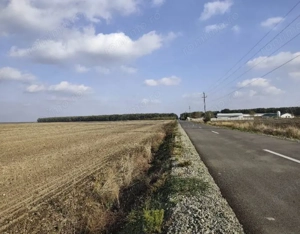 teren extravilan Varvoru de Jos, jud Dolj - imagine 2