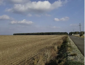 teren extravilan Varvoru de Jos, jud Dolj - imagine 5