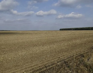 teren extravilan Varvoru de Jos, jud Dolj - imagine 3