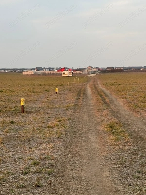 Vanzare Teren Intravilan Magurele 10000mp  - imagine 10