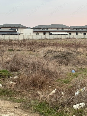 Vanzare Teren Intravilan Magurele 10000mp  - imagine 13