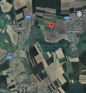 Teren extravilan agricol 1 ha de vânzare- Damienești, Bacău - imagine 2