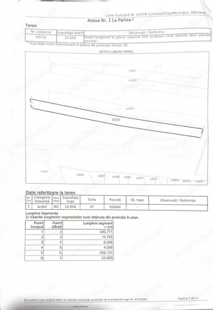 Teren extravilan agricol 1 ha de vânzare- Damienești, Bacău - imagine 4