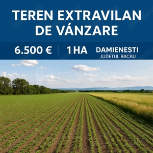 Teren extravilan agricol 1 ha de vânzare- Damienești, Bacău