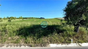 Vand teren intravilan in Sanisor cu suprafata de 4946 mp - imagine 3